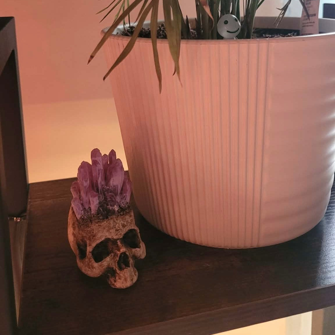 @b_dally_77 wearing Faux Crystal Skull