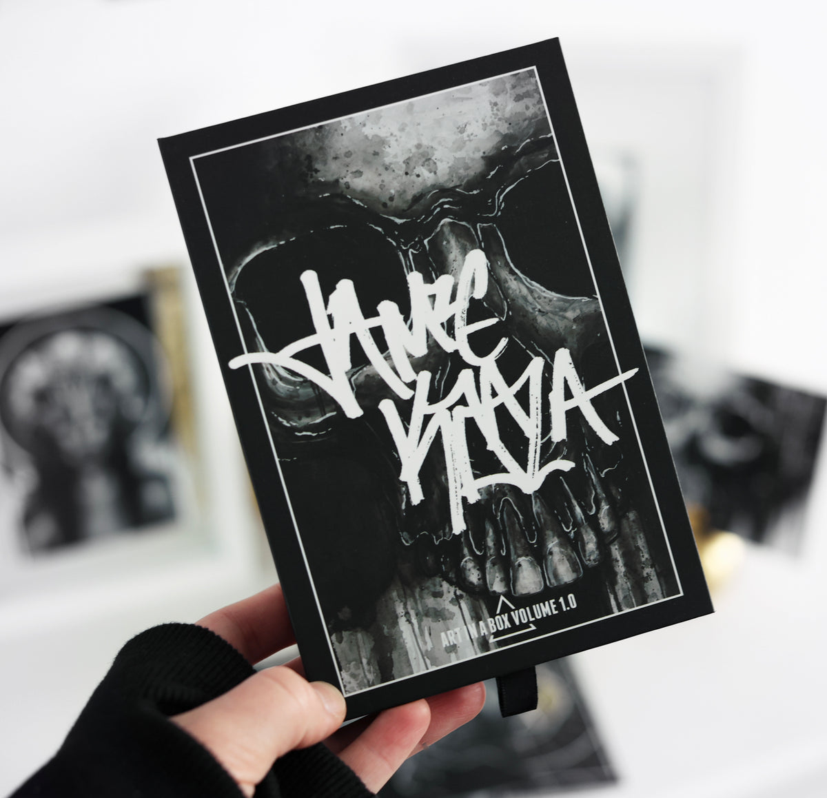 LIMITED Art in a Box Set: Volume 1.0